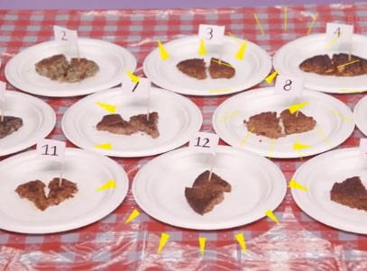 Veggie Burger Taste Test